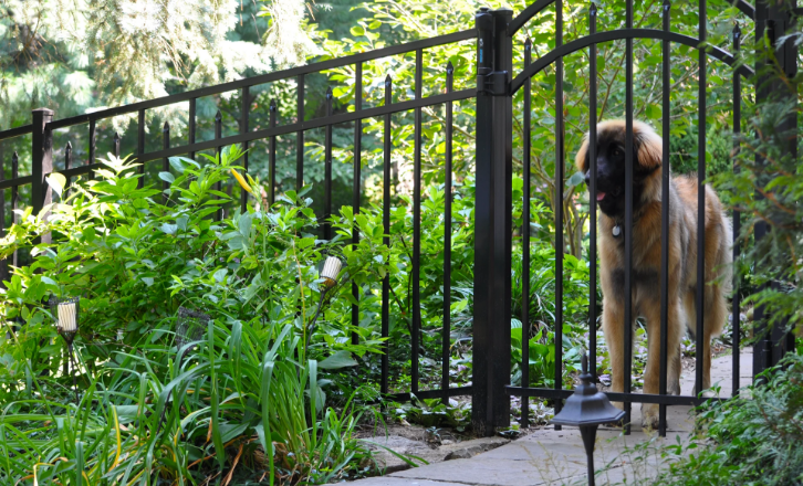 Aluminum Fence Image